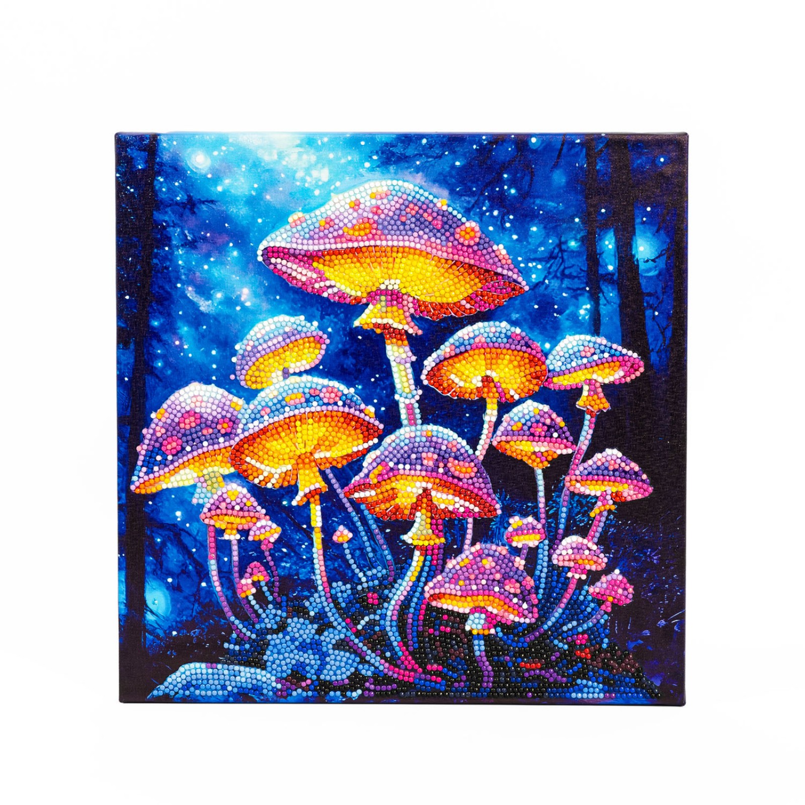 Mushroom Moonlight