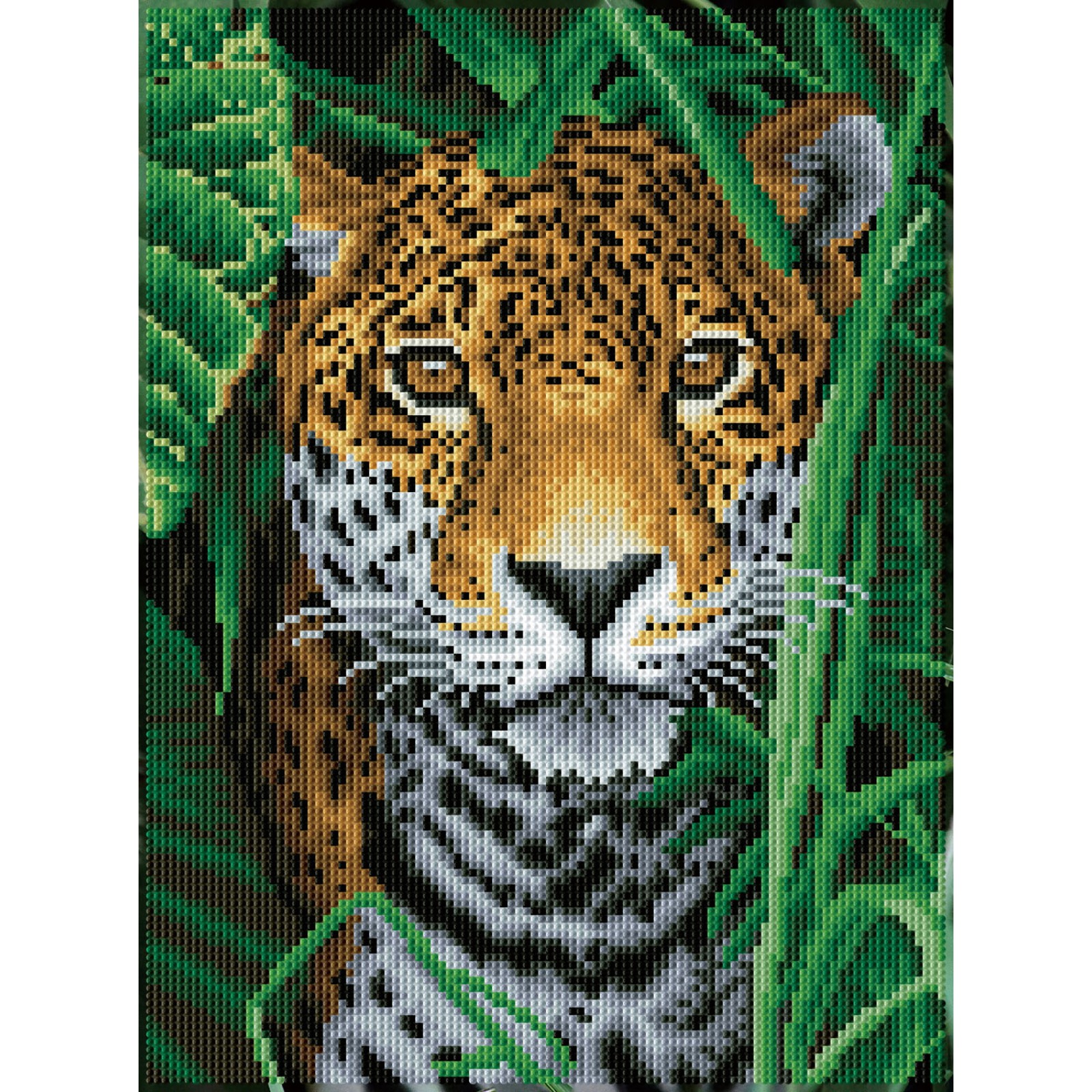 Jaguar Jungle