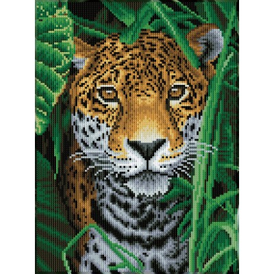 Jaguar Jungle