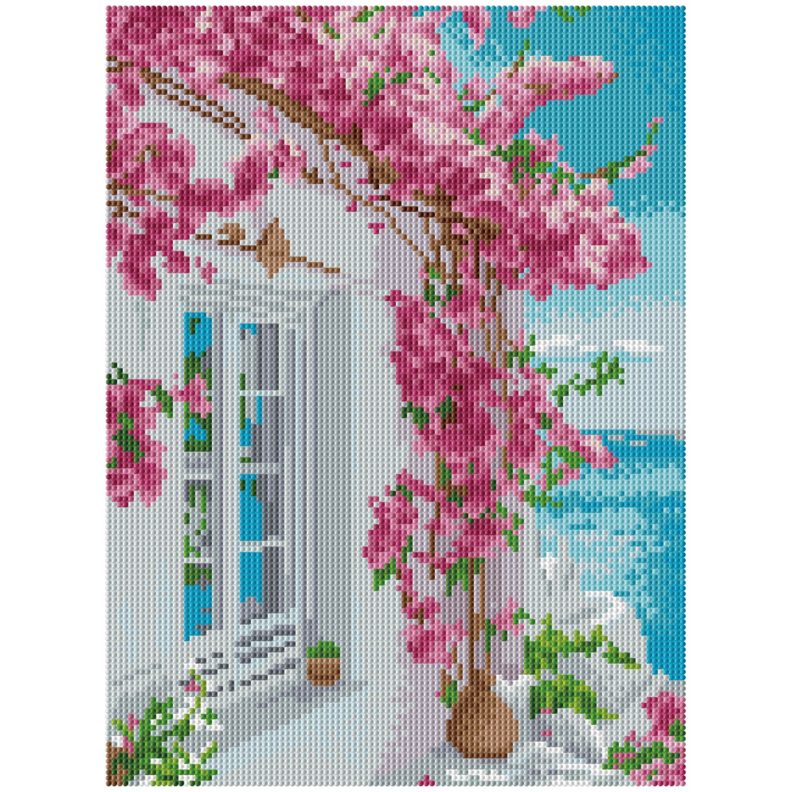 Bougainvillea