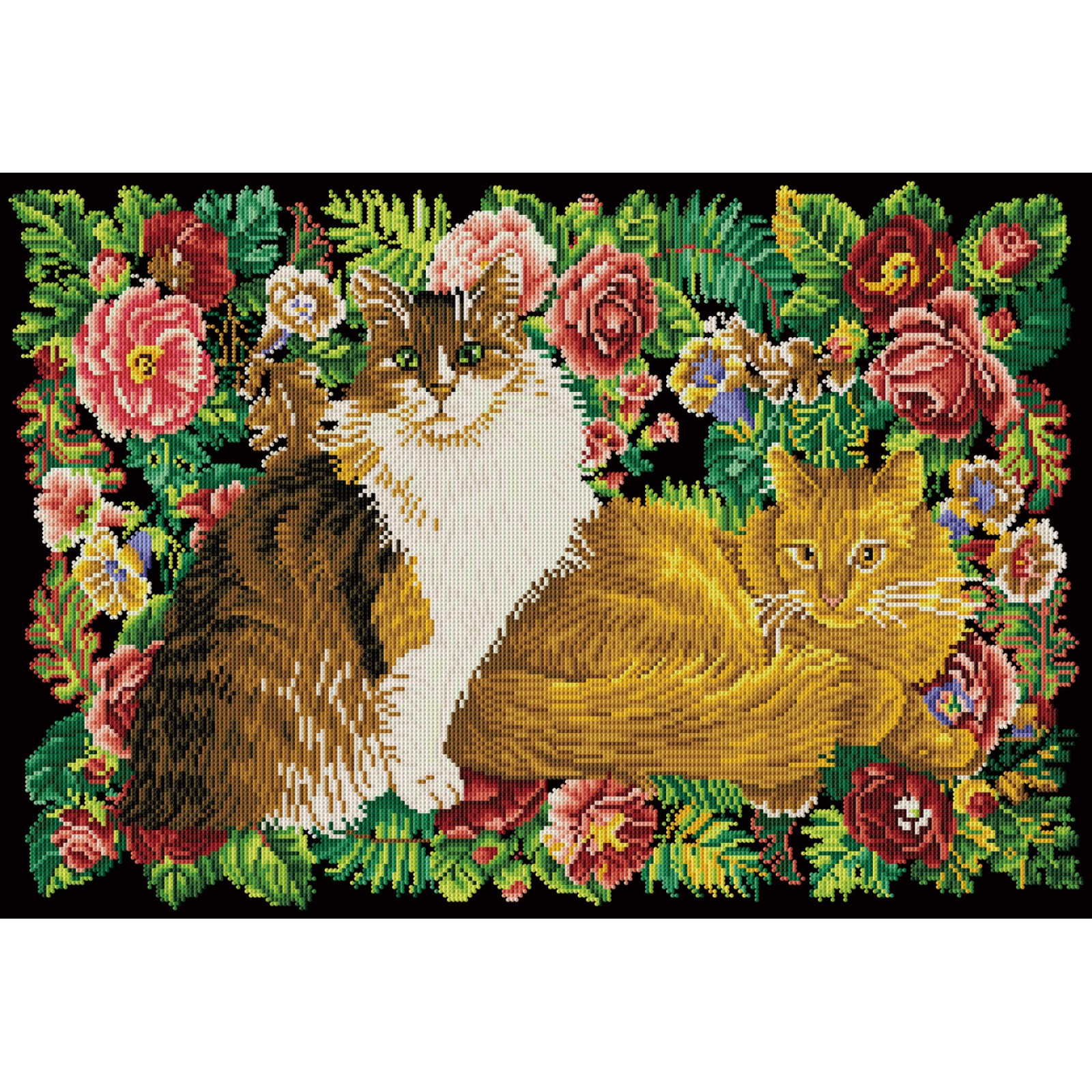 Agneatha & Dandelion