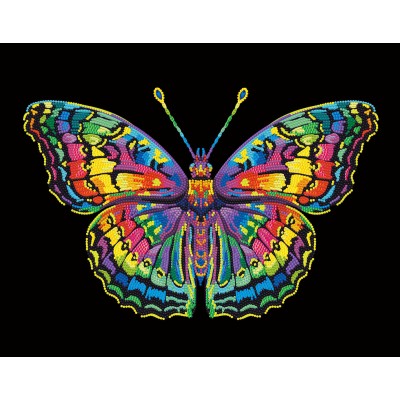 Neon Butterfly