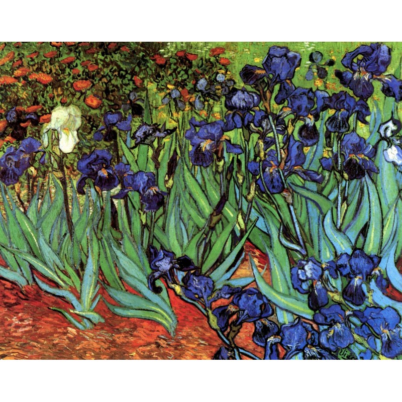 Irises (Van Gogh)