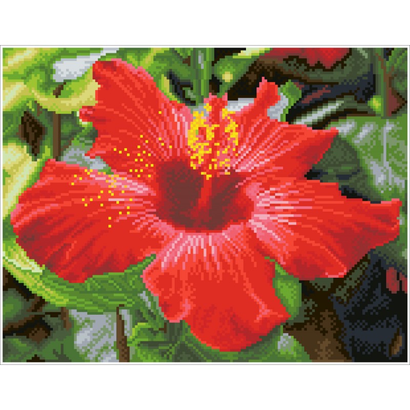 Hibiscus in bloom - Pre-Framed Kit