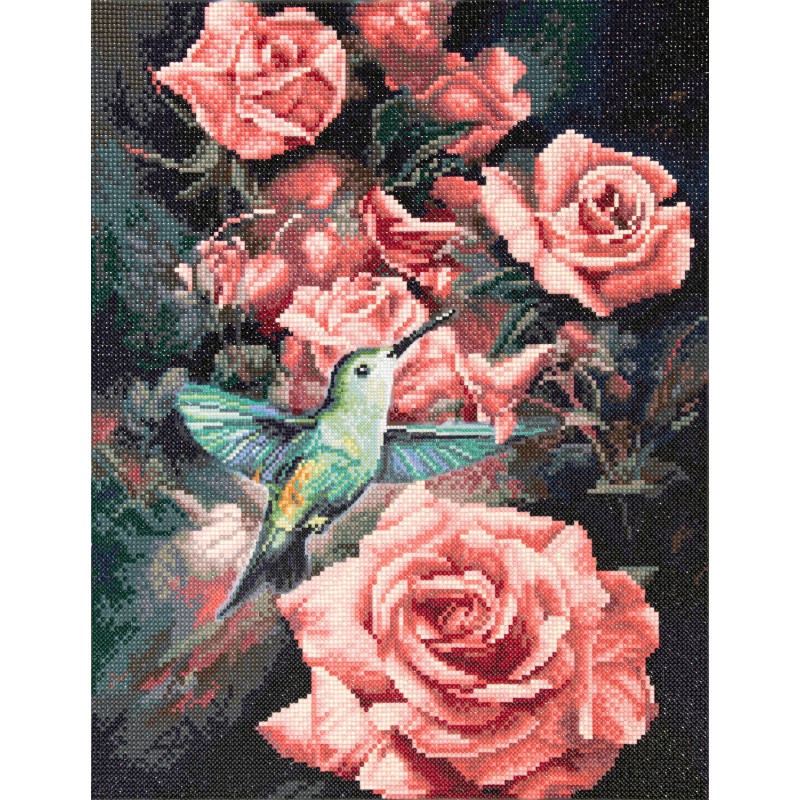 Roses & Hummingbird
