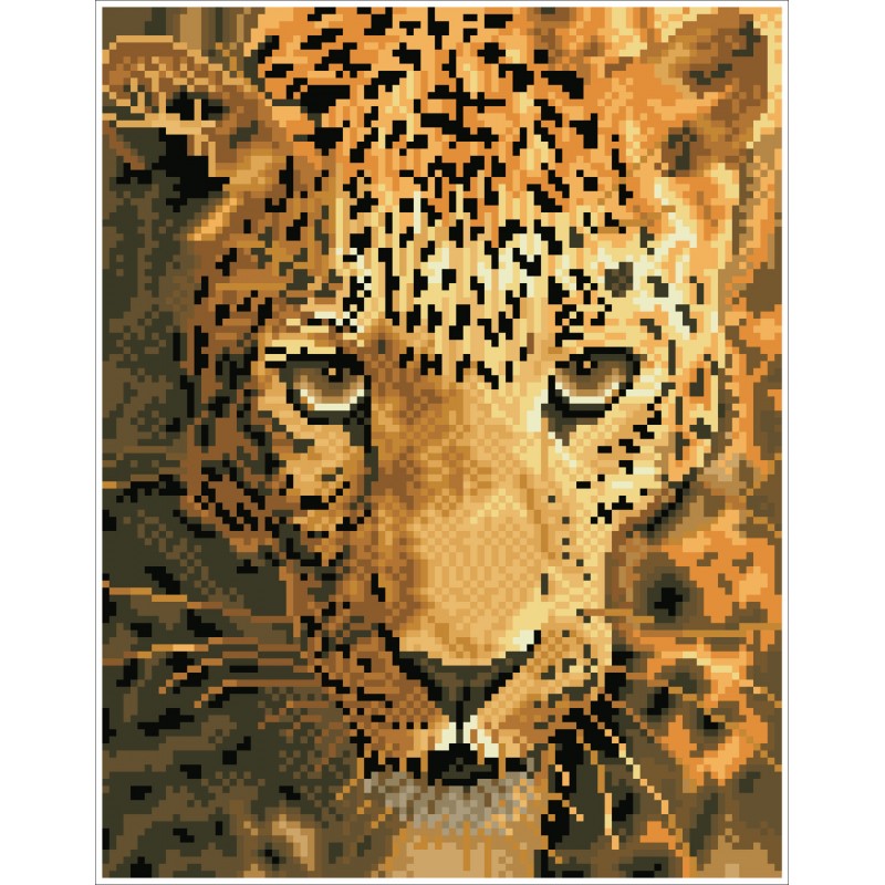 Jaguar Prowl with Frame