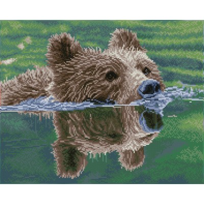 Grizzly swim