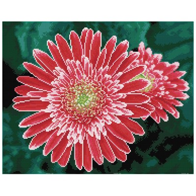 Pink Gerberas  - Pre-Framed Kit