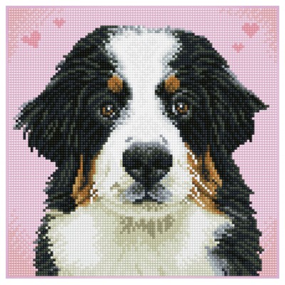 Say Hello to Zuzu - Pre-Framed Kit