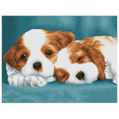 Little Champs - Pre-Framed Kit