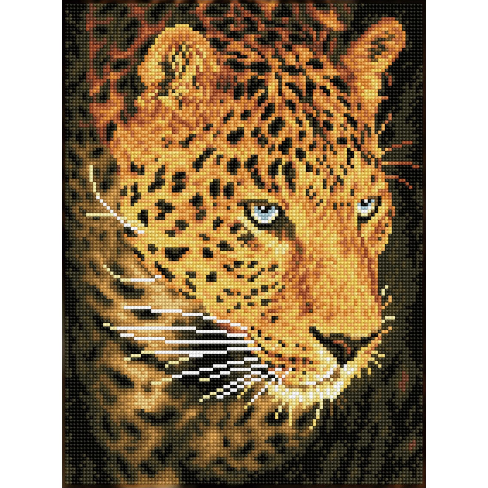 Leopard portrait