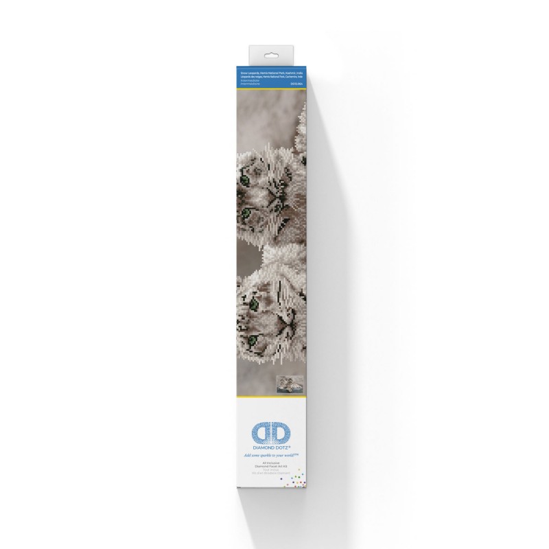 Snow Leopards Hemis National Park