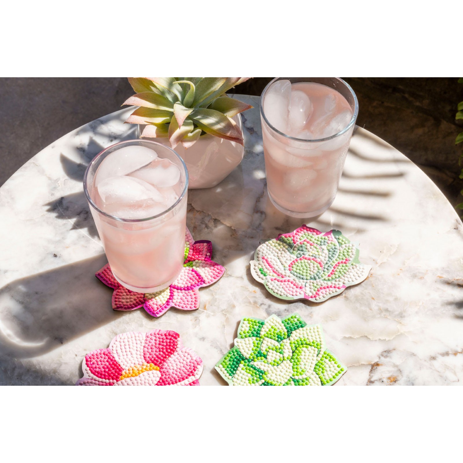 Succulents Coasters