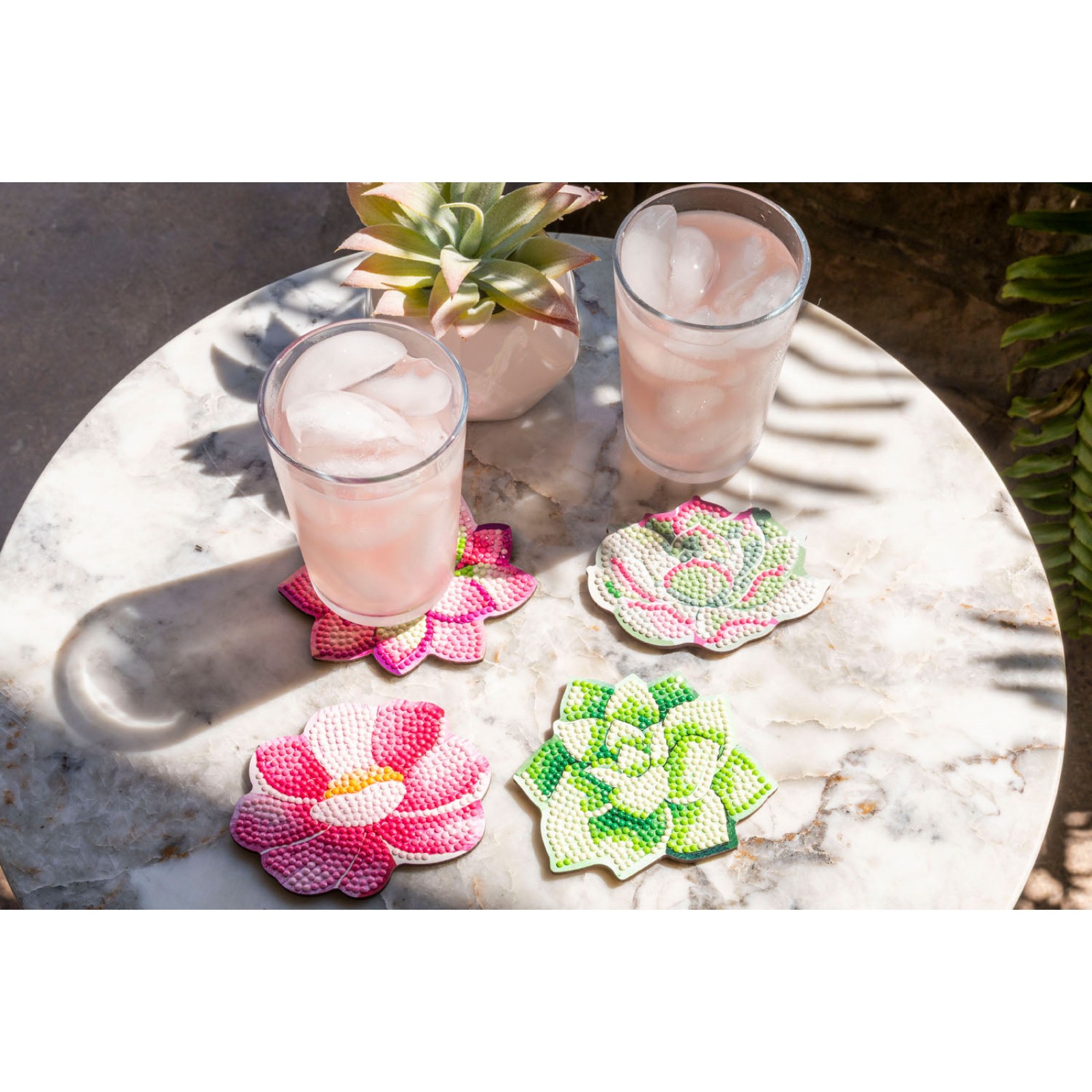 Succulents Coasters