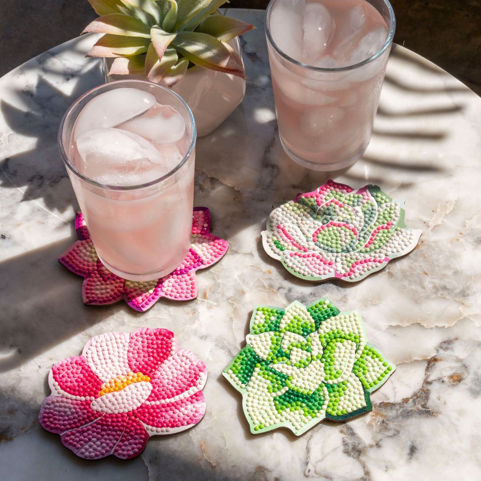 Succulents Coasters